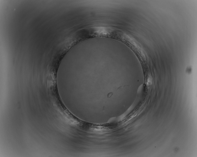X0000097980467200803241303