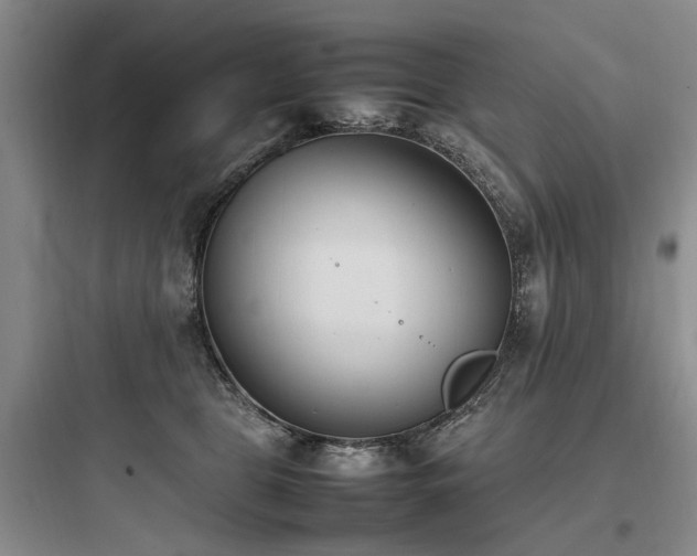 X0000097980469200803241303