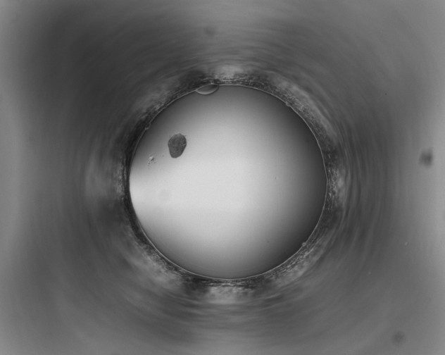 X0000097980470200803241303