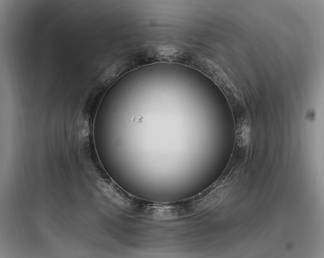 X0000097980472200803241303
