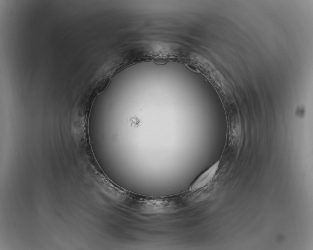 X0000097980473200803241303