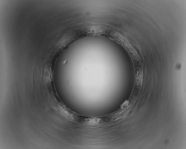 X0000097980474200803241303