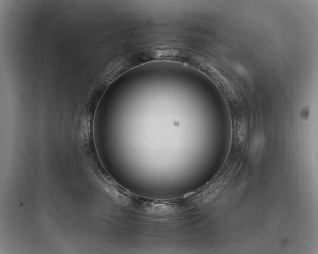 X0000097980475200803241303