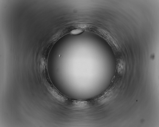 X0000097980476200803241304