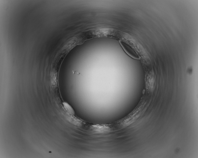 X0000097980477200803241304