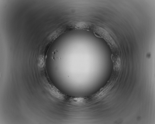 X0000097980478200803241304