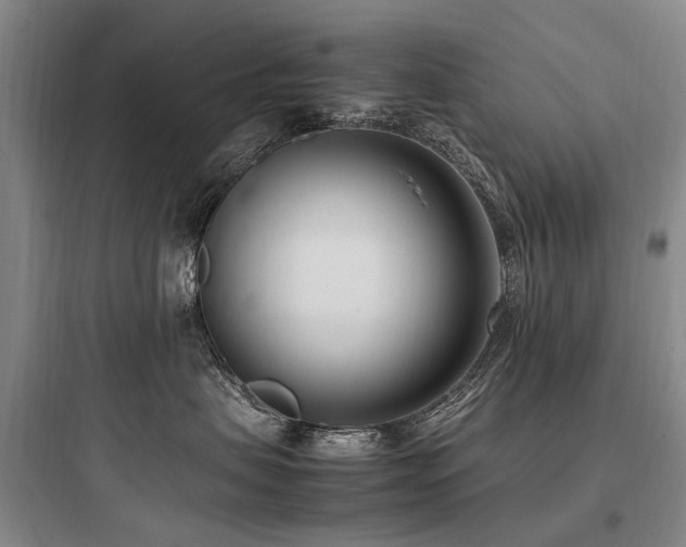 X0000097980479200803241304