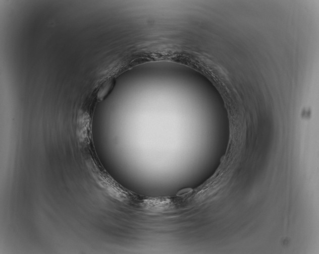 X0000097980480200803241304