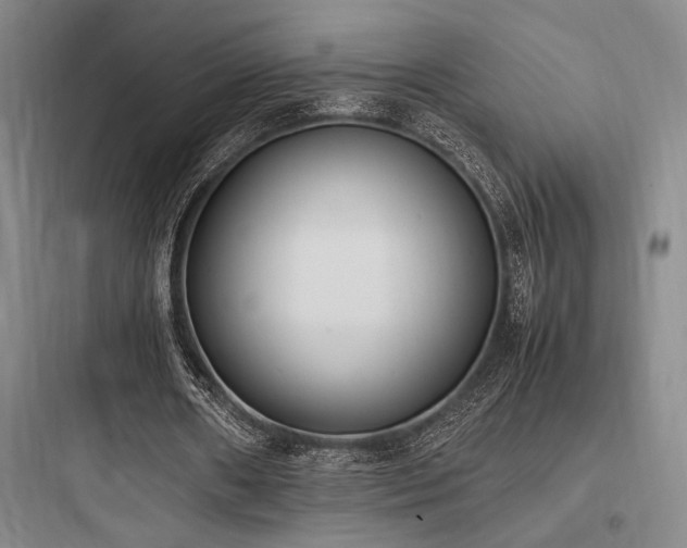 X0000097980482200803241303