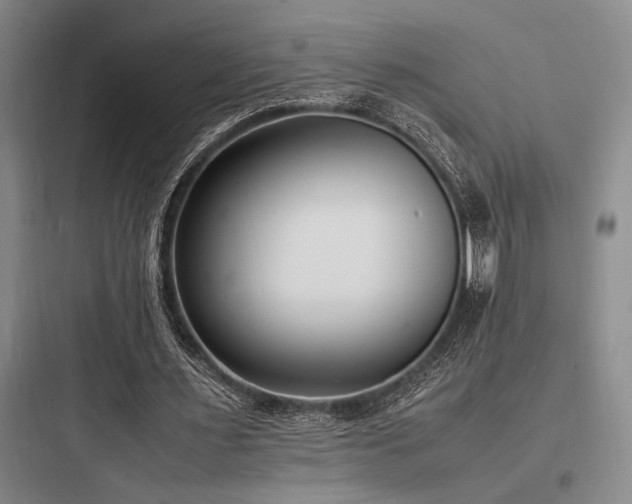 X0000097980483200803241303
