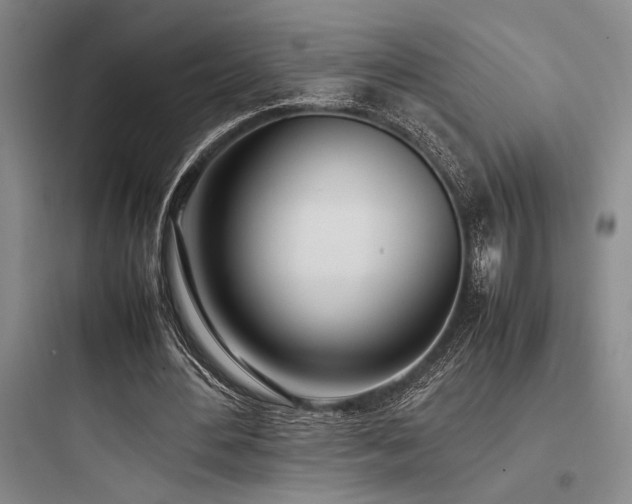 X0000097980484200803241303