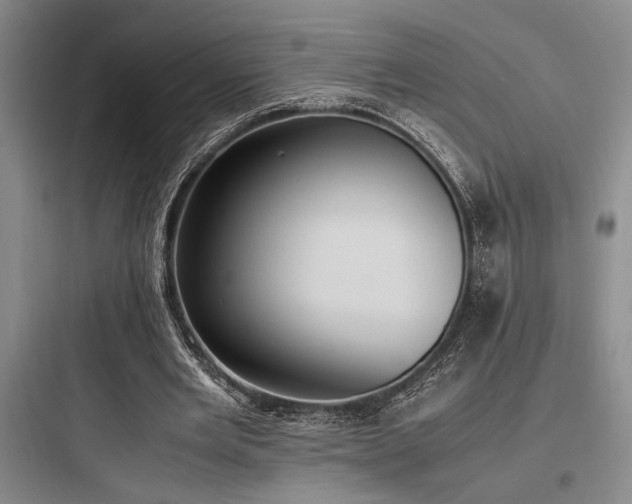 X0000097980485200803241303