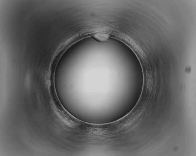 X0000097980486200803241303