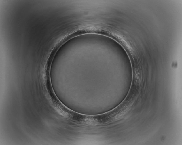 X0000097980487200803241303