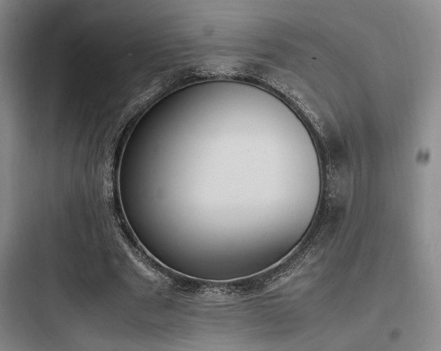 X0000097980489200803241303