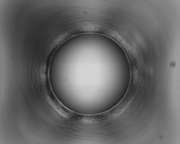 X0000097980490200803241303