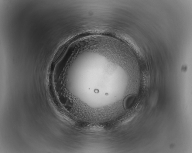 X0000097980491200803241303
