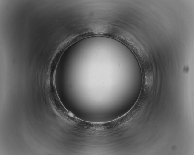 X0000097980492200803241303