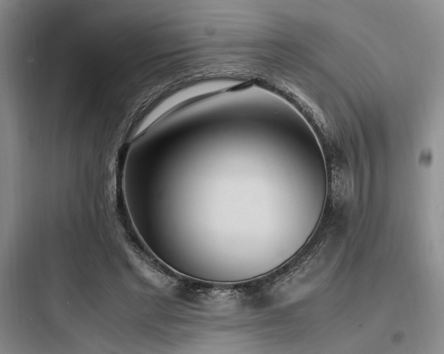X0000097980493200803241303