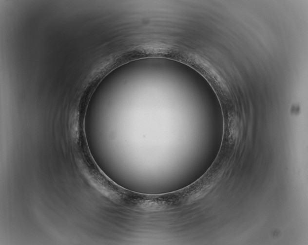 X0000097980494200803241303