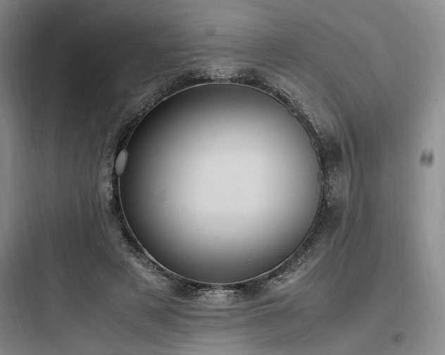 X0000097980497200803241303