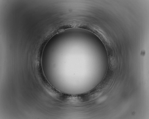 X0000097980499200803241302