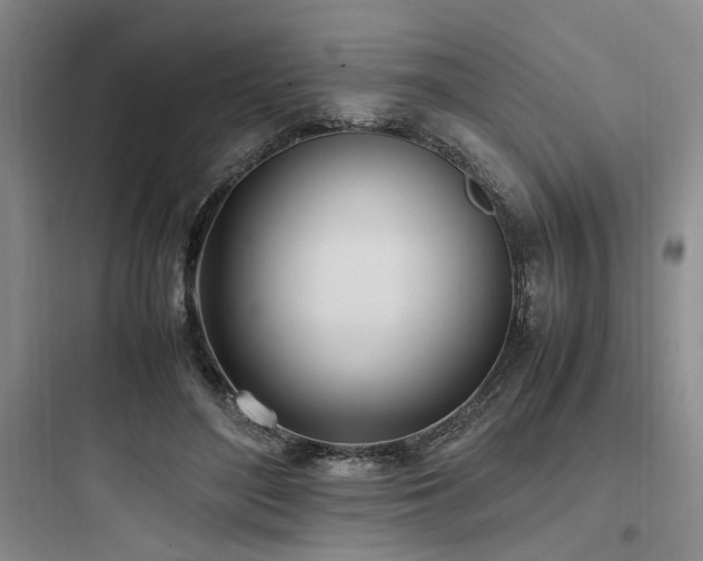 X0000097980500200803241302