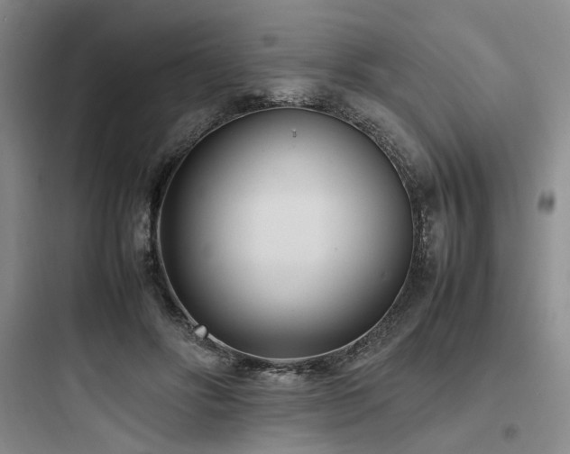 X0000097980502200803241302