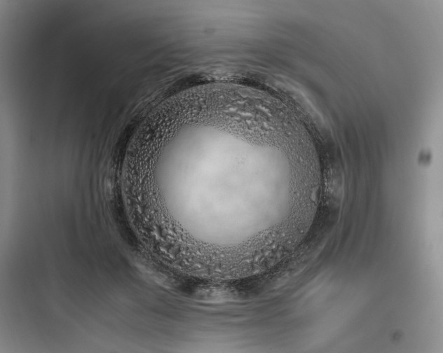 X0000097980503200803241302