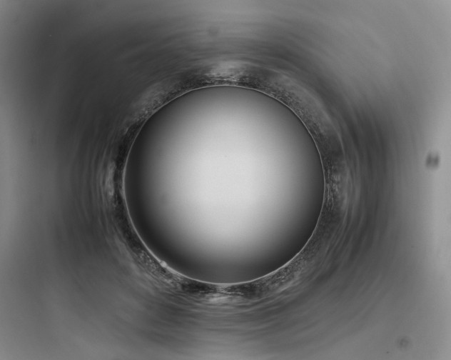 X0000097980504200803241302
