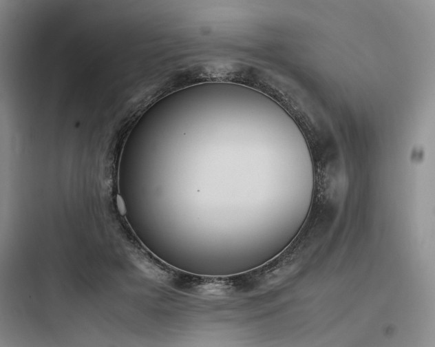 X0000097980505200803241302