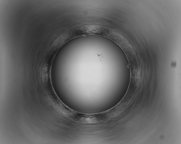 X0000097980506200803241302