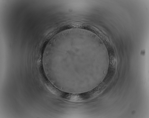 X0000097980507200803241302