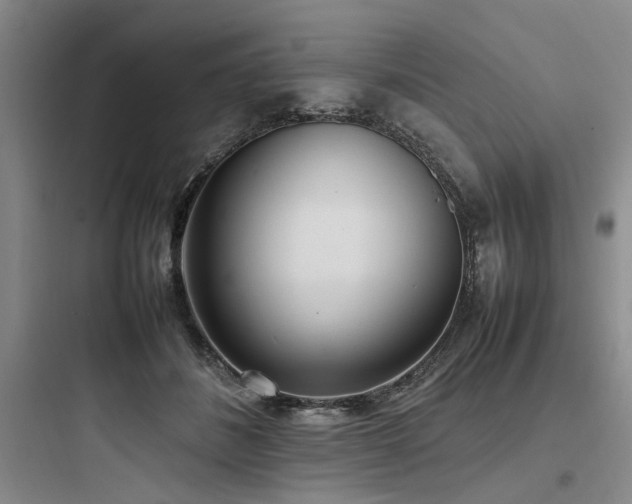 X0000097980508200803241302