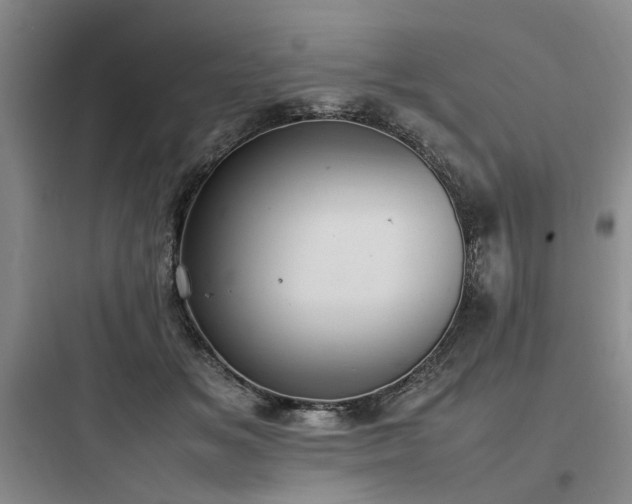 X0000097980509200803241302