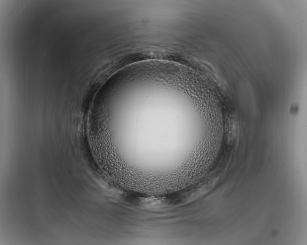 X0000097980511200803241302