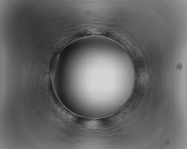 X0000097980513200803241302