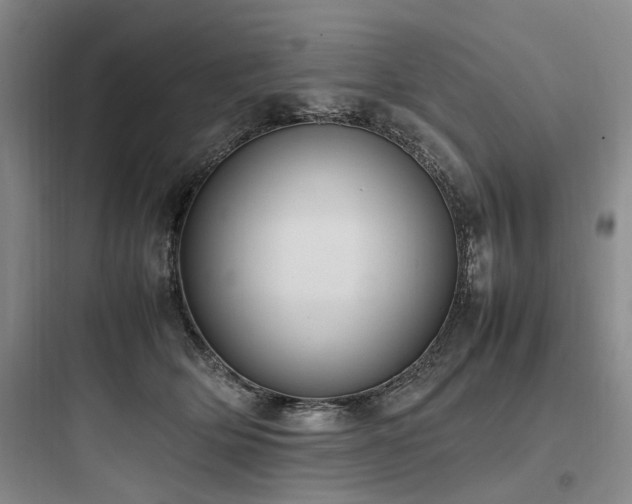 X0000097980514200803241302