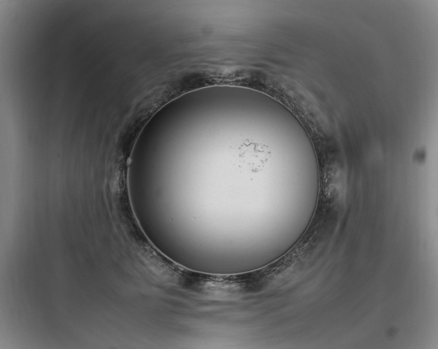 X0000097980515200803241302