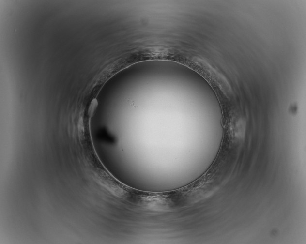 X0000097980516200803241302