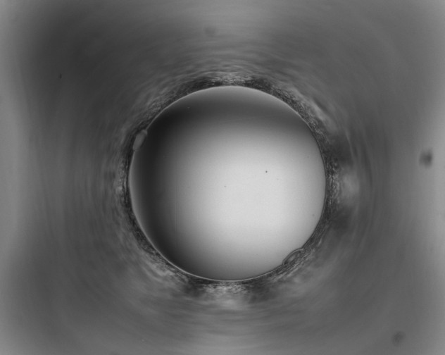 X0000097980517200803241302