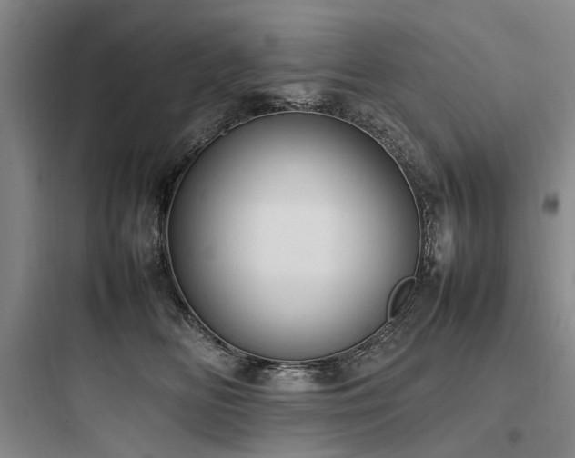 X0000097980518200803241302