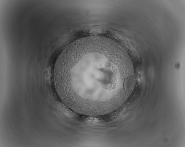 X0000097980519200803241302