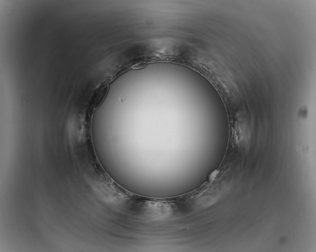 X0000097980520200803241302