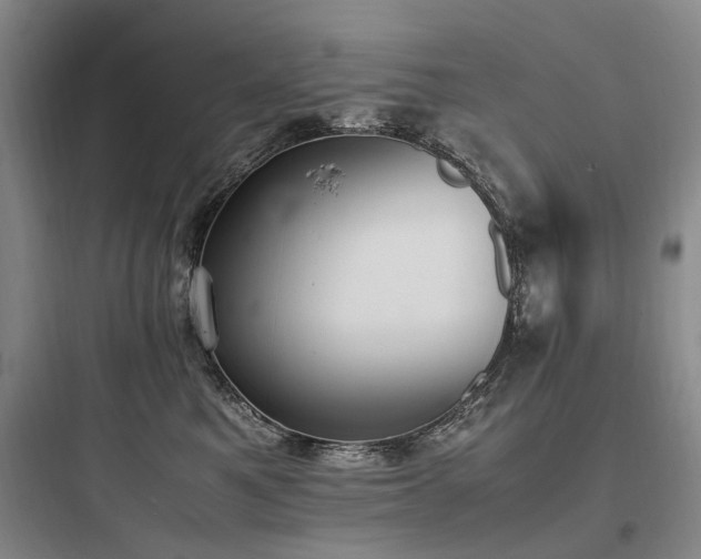 X0000097980521200803241302