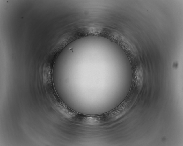 X0000097980522200803241302