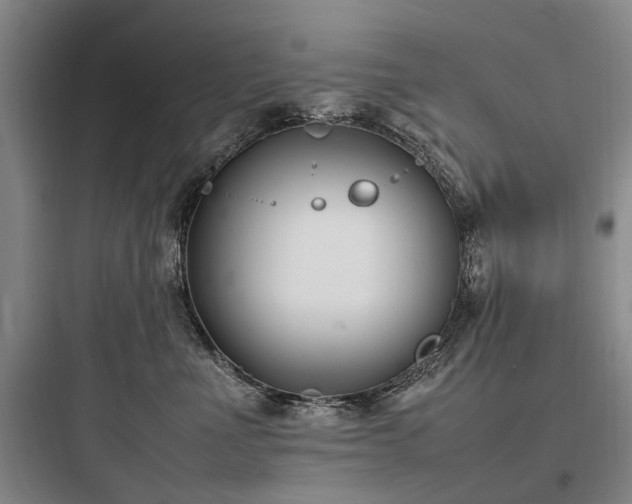 X0000097980523200803241302
