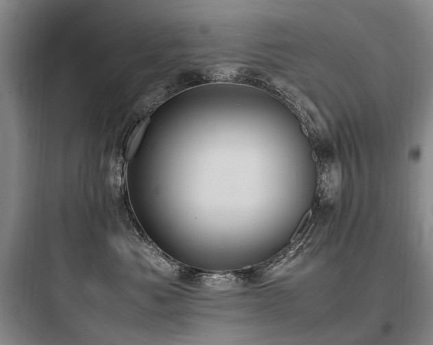 X0000097980525200803241302