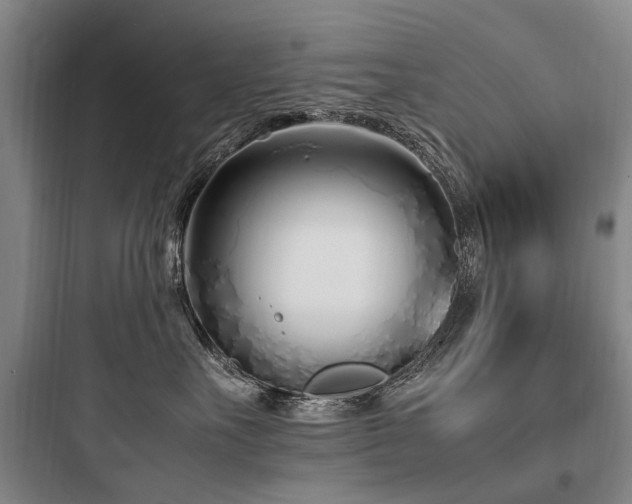 X0000097980527200803241302