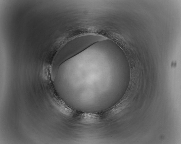 X0000097980528200803241302
